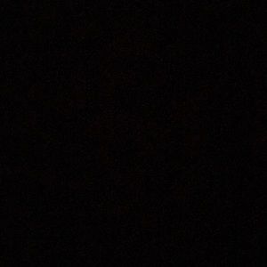 Meet your Posher, Coralie